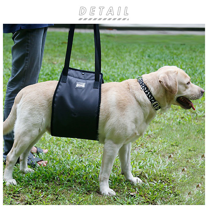 犬 介護 ハーネス 好評 歩行補助 老犬介護用品 介護ハーネス 大型犬 中型犬 小型犬 簡単装着 シニア犬 歩行補助ベルト 介護用品 散歩 リハビリ 犬用 いぬ ペット グッズ ペット用品 backyard-1-10019313 BACKYARD FAMILY バッグタウン サンプル画像2