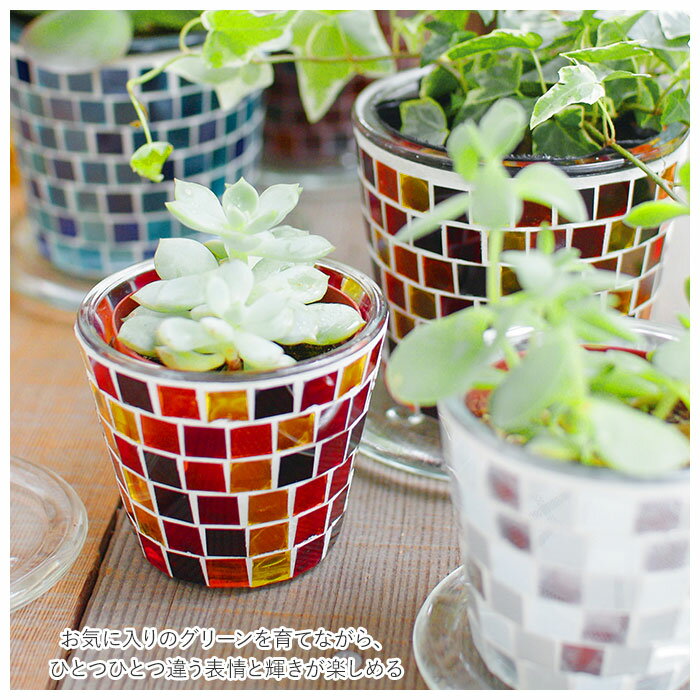 ����ȭ ������� 3�� ��ɾ ȭ �ץ��ȥݥå� �ץ�󥿡� ������ �ꤢ�� �󤻿��� �ݥå� �߷� �ݷ� ���襤�� ���饹 �й� �⥶���������� �����ǥ˥� ����ƥꥢ ����