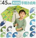 子供傘 45cm 好評 キッズ こども 傘 子ども用 手開き式 手開き傘 男子 男の子 1コマ 透明窓付き 雨傘 かさ カサ 男児 園児 幼児 軽量 軽い きょ...