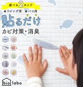 防カビ バイオ 好評 リビング 室内 お風呂 バス ウォールステッカー おしゃれ かわいい 消臭 ステッカー 部屋 住環境用 風呂 浴室 カビ 予防 シール トイレ 壁 お風呂場 水回り 水周り エアコン シンク下 ゴミ箱 押