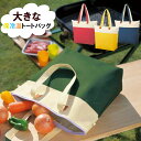 エコバッグ おしゃれ 保冷 好評 保冷 トートバッグ コンパクト 保冷温バッグ ショッピングバッグ お買い物バッグ 軽量 軽い レディース 手さげ 手提げ エコバッグ シンプル 無地 大容量 バ