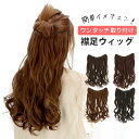 ウィッグ ロング 好評 襟足ウィッグ エクステ つけ毛 巻き毛 レディース ヘアケア ナチュラル ライトブラウン ダークブラウン ブラック 50cm 60cm おしゃれ かわいい カール 取付簡単 付け毛 髪の毛 ボリュームアップ