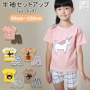 パジャマ キッズ 半袖 好評 女の子 男の子 90 100 110 120 サイズ 綿100% 夏 恐竜 tシャツ コットン ルームウェア 上下セット 可愛い ...