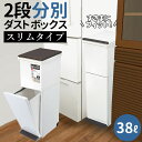 アスベル ゴミ箱 通販 ダストボックス 分別 スリム 2段 大容量 38L ごみ箱 おしゃれ キッチン 2分別 分別ごみ箱 分別ゴミ箱 ペダル式 密閉 パッキン 分別用 フタ付きゴミ箱 ASVEL 6