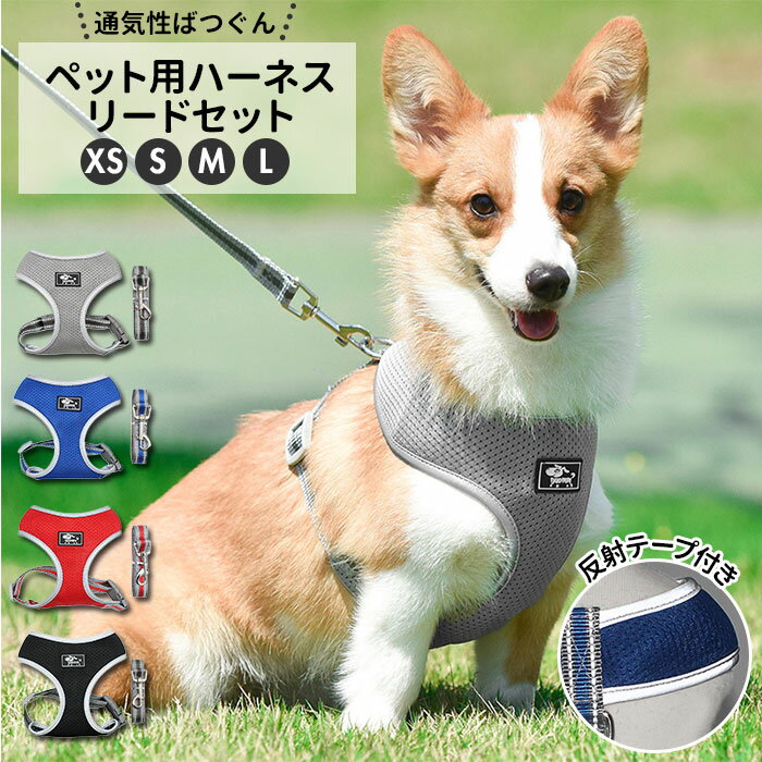 犬 リード ハーネス セット 好評 小型犬 ハーネスリード 可愛い 胴輪 犬用 中型犬 ペット用品 いぬ おしゃれ 散歩 反射 丈夫 シンプル かわいい お散歩