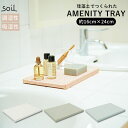 ソイル ディスペンサートレイ 好評 プレート 珪藻土 トレー 日本製 SOIL soil Soil 縦16×幅24×厚さ1.5cm AMENITY TRAY B257 アメニティートレイ 速乾 イスルギ 吸水 吸湿 調湿 乾燥 トレイ 洗面台 キッチン ナチュラル