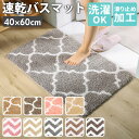 バスマット 速乾 好評 洗える 足拭きマット 玄関マット 60cm バス用品 バスルーム おしゃれ かわいい 浴室 マット 40×60 フットマット 雑貨 イン...