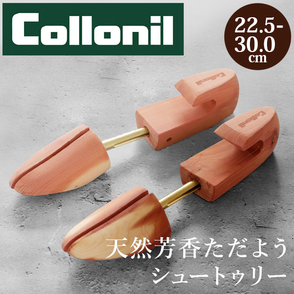 コロニル シューキーパー 楽天 collonil シュートゥリー シューズキーパー シューツリー 靴用 Lサイズ アロマテックシーダー Mサイズ 消臭 靴 型崩れ 定番 シダー 木製 アロマティック