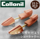 コロニル シューキーパー 楽天 collonil シュートゥリー シューズキーパー シューツリー 靴用 Lサイズ アロマテックシーダー Mサイズ 消臭 靴 型崩れ 定番 シダー 木製 アロマティック