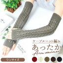 アームウォーマー レディース 好評 アームカバー ハンドウォーマー ロング ニット アーム 腕 ケーブルニット あったか おしゃれ 暖かい 冬 ファッション か...