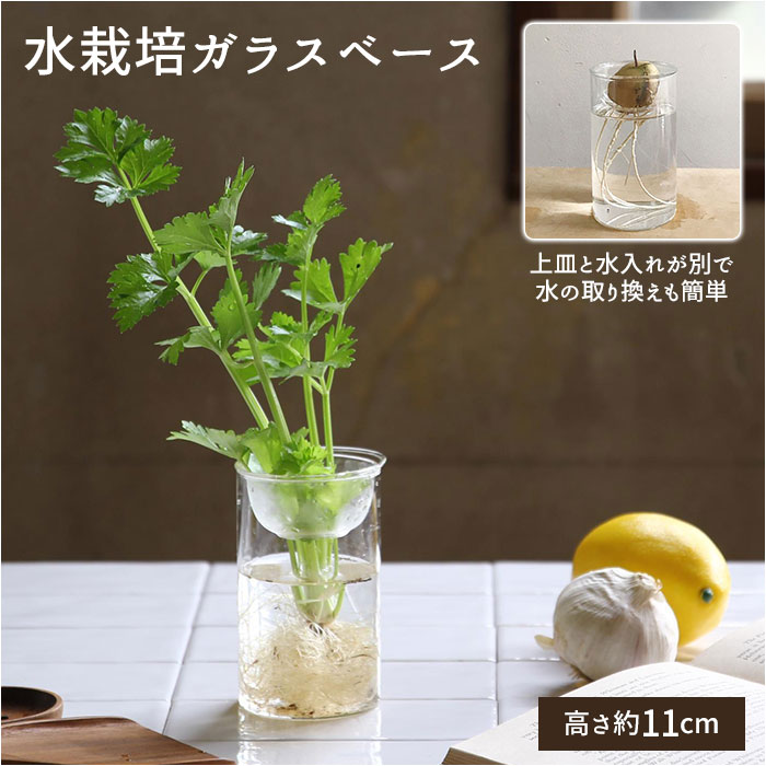 花瓶 ガラス 好評 スパイス KEGY4053 BULB VASE バルブベース 11cm ガラスベース ガラス花器 かわいい 水栽培 容器 おしゃれ 球根 液肥 かわいい 敬老の日 プレゼント 母の日 ギフト オシャレ インテリア 雑貨