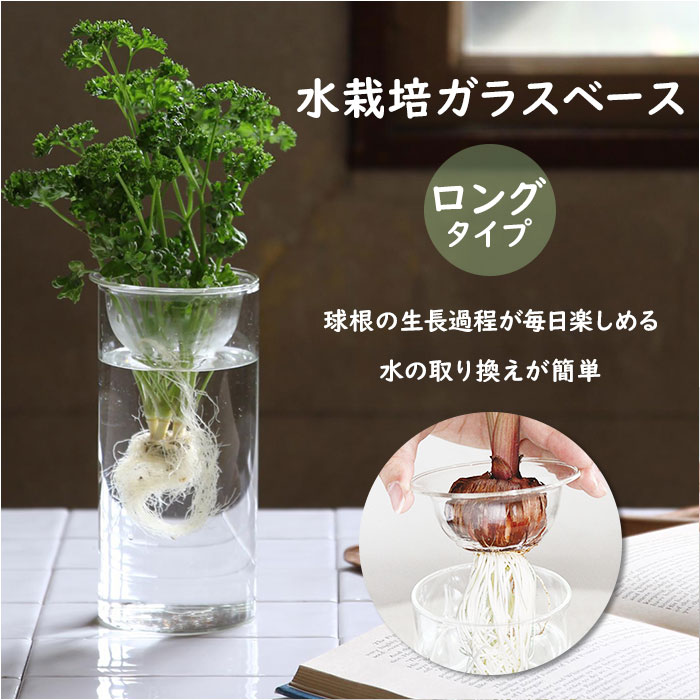 花瓶 ガラス 好評 KEGY4070 BULB VASE バルブベース ロング ガラスベース ガラス花器 かわいい 水栽培 容器 おしゃれ 球根 液肥 かわいい 敬老の日 プレゼント 母の日 ギフト オシャレ インテリア 雑貨