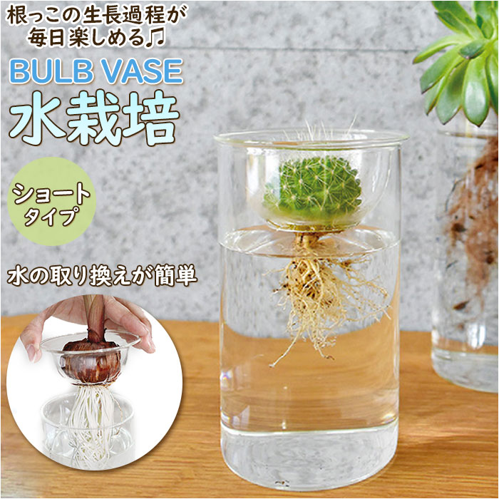 花瓶 ガラス 好評 KEGY4060 BULB VASE バルブベース ショート ガラスベース ガラス花器 かわいい 水栽培 容器 おしゃれ 球根 液肥 かわいい 敬老の日 プレゼント 母の日 ギフト オシャレ インテリア 雑貨