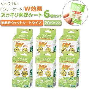 曇り止め メガネ 好評 クリーナー 6個セット 6個 くもり止め レンズペーパー シート めがね 眼鏡 レンズ ケア用品 汚れ 除菌 指紋 個包装 ウェット くもり 脂汚れ 小物 トラベル