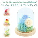 あす楽12時まで受付 お供え プリザーブドフラワー ガラスドーム 好評 供養 ソレイユ アレンジメント 仏花 供え花 献花 ドームタイプ ドーム プリザ 長持ち...