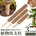 支柱 園芸 3サイズ 好評 おしゃれ 鉢植え 植物支柱 観葉植物 ガーデニング ココナッツ支柱 モンステラ 添え木 つる性 ココナッツパームスティック スティック 園芸用品 30cm 40cm 50cm 雑貨 インテリア