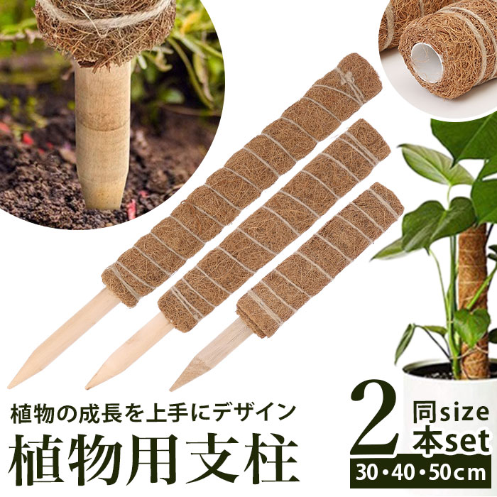 支柱 園芸 3サイズ 好評 おしゃれ 鉢植え 植物支柱 観葉植物 ガーデニング ココナッツ支柱 モンステラ 添え木 つる性 ココナッツパームスティック スティック 園芸用品 30cm 40cm 50cm 雑貨 インテリア 2セット