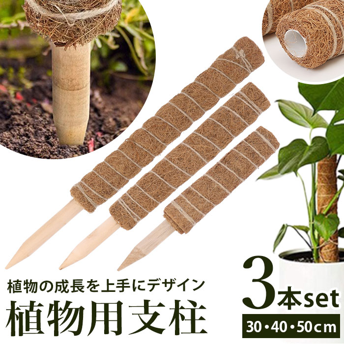 支柱 園芸 好評 コナッツパームスティック 3本入り 鉢植え 植物支柱 観葉植物支柱 ガーデニング支柱 ココナッツ支柱 3本セット 観葉植物 園芸用品 つる性 家庭菜園 ガーデニング おしゃれ 便利