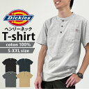 ディッキーズ Dickies tシャツ WS451 通