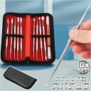 粘土ヘラ 好評 ステンレス 10本セット スパチュラ へら かきべら 造形工具 彫金工具 工作セット 工具 道具 セット ツールセット ケース付 ハンドメイド ...