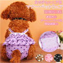 犬 マナーパンツ 好評 メス 女の子 サニタリーパンツ オムツカバー おむつカバー ペット パンツ 服 犬用 いぬ イヌ おしゃれ ブラック ブラウン ピンク ...