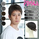 PRISILA プリシラ メンズ 部分ウィッグ 部分ウイッグ 好評 ヘアピース 部分かつら カバーピース かつら ウィッグ ウイッグ つけ毛 メンズウィッグ 五分ウィッグ 5分ウィッグ 五分ウイッグ 5分ウイッグ レイヤーショート 男性用 伸縮性 通気性 安定感 フィット 自然