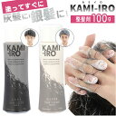 ヘアカラーワックス 好評 カラーワックス ヘアワックス カラー ヘアカラー 塗るだけ 簡単 整髪料 ヘア ワックス スタイリング KAMI-IRO カミイロ イメチェン グレー シルバー