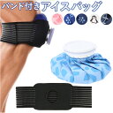 アイスバッグ バンド付き 好評 氷嚢 氷のう アイスバック アイシングバッグ アイシング 冷却バッグ 熱中症対策グッズ 熱中症対策 クールダウン 冷却 熱 ケガ...