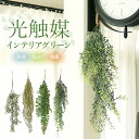 光触媒 フェイクグリーン 好評 グリーンブッシュ 観葉植物 フェイク CT触媒 吊り下げ ハンギング 消臭 抗菌 防汚 空気清浄 イミテーショングリーン リビング 玄関 おしゃれ かわいい 新生活 インテリア 雑貨