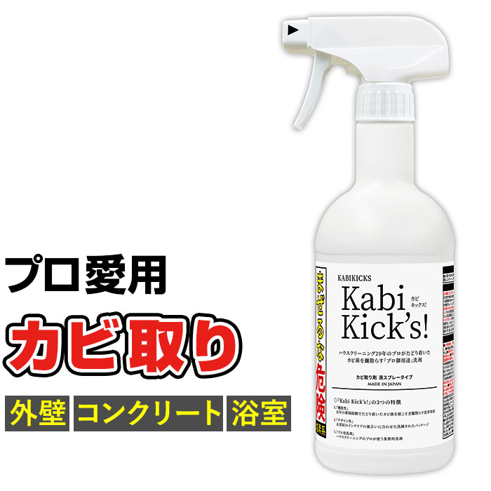 カビ取り剤 カビキックス 好評 スプレー カビ KABIKICKS 掃除用洗剤 掃除用品 掃除用具 業務用 ゴムパ..