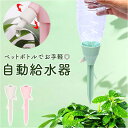 水やり ペットボトル キャップ 好評 給水キャップ 水やり器 自動給水器 園芸用品 鉢植え 植物 観葉植物 留守 旅行 園芸 ガーデニング 挿すだけ じょうろ ...