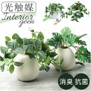 光触媒 フェイクグリーン 好評 インテリアグリーン イミテーショングリーン 人工観葉植物 中型丸鉢 消臭 抗菌 防カビ ポット 陶器 丸鉢 おしゃれ 植物 飾る...