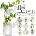 壁掛け 花瓶 好評 フラワーベース 一輪挿し ガラス 花びん 花器 小さい コンパクト フック付き 倒れない 涼しげ 透明 クリア 壁飾り ウォールデコ リビン...