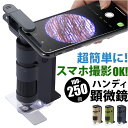 顕微鏡 子供 好評 レイメイ藤井 RXT1144 ハンディ顕微鏡 DX 100倍 250倍 ズーム 小学生 子供用 コンパクト 学習用 観察 自由研究 中学生 ...