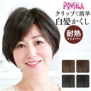 プリシラ ウィッグ レディース 分け目 ST-005 好評 白髪かくしウィッグ ミセスウィッグ 部分ウイッグ 部分ウィッグ 増毛 部分かつら エクステ 付け毛 ...
