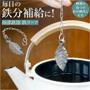 南部鉄器 鉄玉 鉄リーフ 好評 鉄分 鉄分補給 鉄玉子 鉄たまご 炊飯器 おしゃれ 池永鉄工 白湯 チェーン付き 鉄分不足 料理 漬物 ぬか漬け ツヤ出し ぬか 色出し 黒豆 鍋 やかん 湯沸かし お茶 味噌汁 煮物 鋳物 煮出し 砂抜き キッチン 調理器具