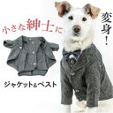ペット 服 スーツ ベスト 犬 いぬ 好評 コスチューム ジャケット コスプレ ペット服 犬服 犬の服 ドッグウェア ペットウェア フォーマル おしゃれ 二足歩...