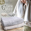 バスタオル セット 2枚 好評 タオル 60 × 120 カラリデイプレミアム マイクロファイバータオル 速乾タオル 吸水タオル ふわふわ フワフワ シンプル ...