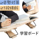 学習台 傾斜台 好評 学習補助 読書台 学習ボード 勉強台 卓上 ブックスタンド ライティング ボード 傾斜 48cm×30cm 木製 ななめ ペントレー付き ...