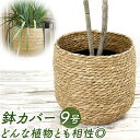 HillTop ヒルトップ プランターカバー おしゃれ 好評 鉢カバー プランター カバー バスケット カゴ かご シーグラス 鉢 収納 小物入れ 花かざり 花...