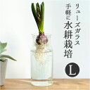 フラワーベース ガラス 好評 花瓶 おしゃれ リューズガラス バルブ ボトル L フラワーポット ガラスボトル 花びん H 19cm 大きめ リサイクルガラス ...