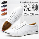 メンズ スニーカー 好評 メンズシューズ 紐靴 ひも靴 靴 シューズ カジュアルシューズ レースアップ PUレザー 合成皮革 合皮 ソフトレザー 軽い 軽量 柔軟 柔らかい やわらかい ゴム底 カジ