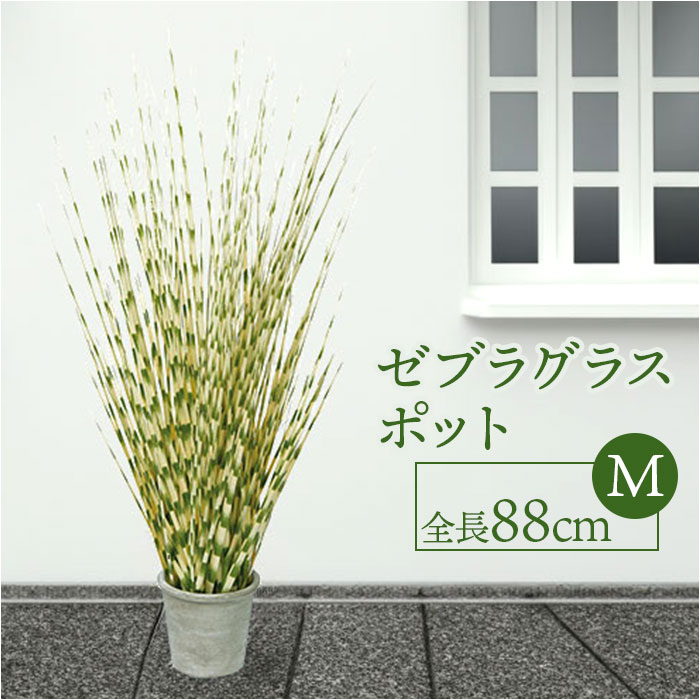 フェイクグリーン ゼブラグラス 好評 人工観葉植物 フェイク グリーン インテリアグリーン イミテーショングリーン インテリアプランツ 人工樹木 ポット 鉢植え アーティフィシャルグリーン 人工植物 おしゃれ リビング 寝室 インテリア雑貨 GLA-1397