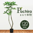 フェイクグリーン パキラ 好評 人工観葉植物 フェイク グリーン インテリアグリーン イミテーショングリーン インテリアプランツ 人工樹木 ポット 鉢植え アーティフィシャルグリーン 人工植物 おしゃれ リビング 寝室 インテリア雑貨 GLA-1477