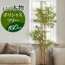 フェイクグリーン 木 好評 人工観葉植物 観葉植物 インテリアグリーン ポリシャスツリーM GLP-1505 大型 ツリー インテリア 雑貨 おしゃれ かわいい 造花 大きい オシャレ ディスプレイ フェイク グリーン 事務所 店舗 オフィス