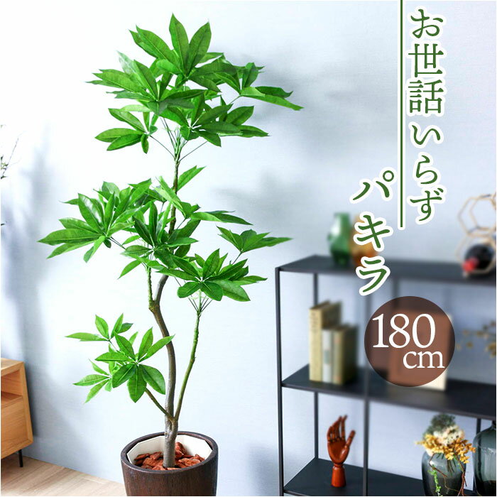 フェイクグリーン パキラ 好評 人工観葉植物 観葉植物 インテリアグリーン 木 180cm GLP-1522 大型 ツリー インテリア 雑貨 おしゃれ かわいい 造花 大きい オシャレ ディスプレイ フェイク グリーン 事務所 店舗 オフィス