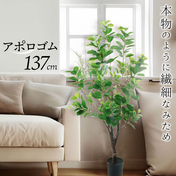 フェイクグリーン ゴムの木 好評 人工観葉植物 観葉植物 インテリアグリーン アポロゴム GLP-1537 ゴムノキ 大型 ツリー インテリア 雑貨 おしゃれ かわいい 造花 木 大きい オシャレ ディスプレイ フェイク グリーン 事務所 店舗 オフィス