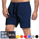 水着 メンズ ショートパンツ 好評 短パン ハーフパンツ サーフパンツ ビーチパンツ スイムパンツ スイムウェア スイムウエア 海水パンツ 海パン ショート丈 薄手 薄い トランクス型 男性用 速乾 夏 ビーチ リゾート 水遊び 川 海 プール 海水浴