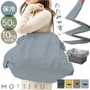 motteru エコバッグ 好評 レジカゴ用バッグ モッテル パタント MO-1125 エコバック 保冷バッグ 大容量 折り畳み ポケッタブル パッカブル 折りたたみ サブバッグ クーラーバッグ コンパクト 携帯 おしゃれ オシャレ お買い物 ショッピング