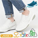 スニーカー レディース メンズ 好評 スリッポンスニーカー リゲッタスゴィヌ SDoGs シューズ 靴 スリップオン スゴィヌ SG502 運動靴 クツ くつ ...